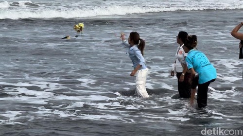 Jennifer Coppen melarung abu suaminya, Yitta Dali Wassink, di Pantai Lembeng, Desa Lembeng, Kecamatan Sukawati, Gianyar, Bali, Minggu (21/7/2024). (Ni Made Lastri Karsiani Putri/detikBali)