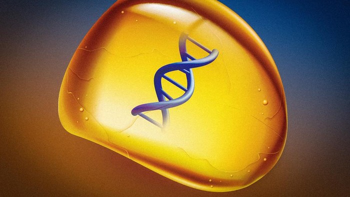 Kapsul DNA berisi lagu dan foto