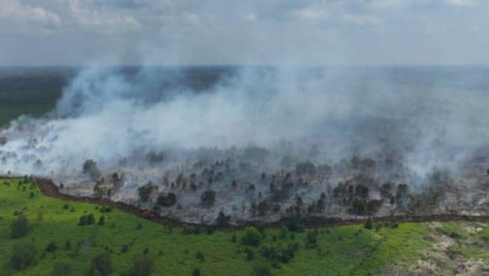 Lahan seluas 15 hektare di Muba terbakar