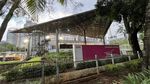 Potret Nongkrong Seru di Spot Baru: Lapangan Softball GBK