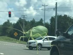 Lihat Dengan Teliti, Foto Ilusi Ini Bikin Mata Terkecoh