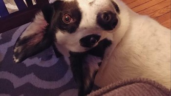 Butuh beberapa saat untuk mencari tahu apa yang saya lihat. Foto: Brightside