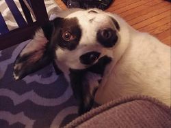 Lihat Dengan Teliti, Foto Ilusi Ini Bikin Mata Terkecoh