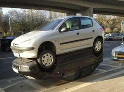 Lihat Dengan Teliti, Foto Ilusi Ini Bikin Mata Terkecoh