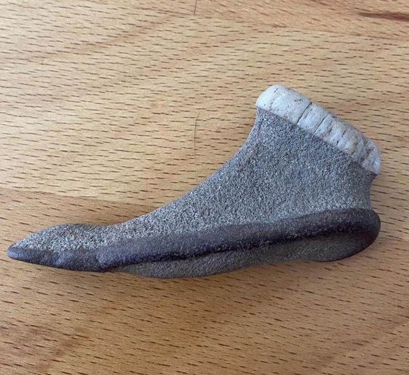 Lihat Dengan Teliti, Foto Ilusi Ini Bikin Mata Terkecoh