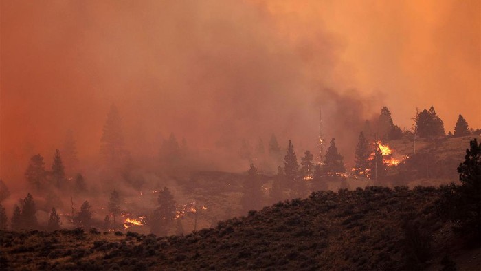 Kebakaran melanda hutan Shetland Creek di British Columbia, Kanada, Sabtu (20/7/2024). Begini panampakan kobaran apinya.