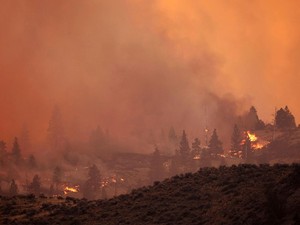 2 Orang Tewas Akibat Kebakaran Hutan di Kanada, Ribuan Warga Mengungsi