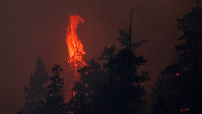 Kebakaran melanda hutan Shetland Creek di British Columbia, Kanada, Sabtu (20/7/2024). Begini panampakan kobaran apinya.