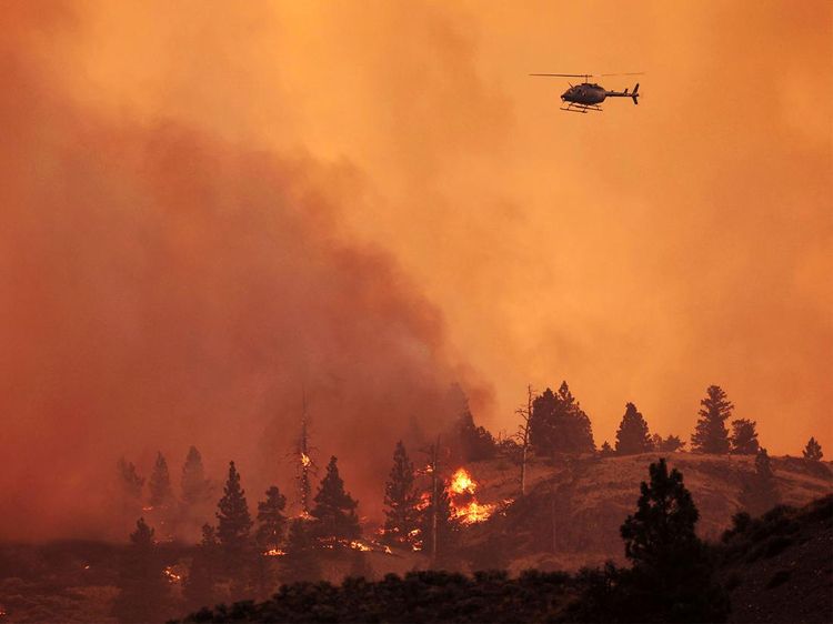 Penampakan Kebakaran Lalap Hutan di Kanada