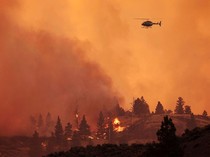 Penampakan Kebakaran Lalap Hutan di Kanada