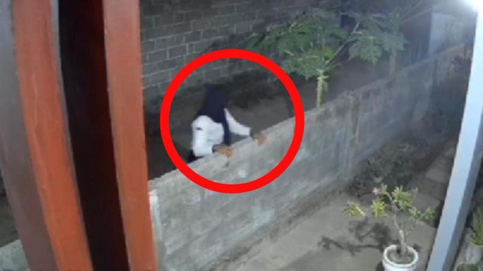 Penampakan maling CD perempuan di Jember