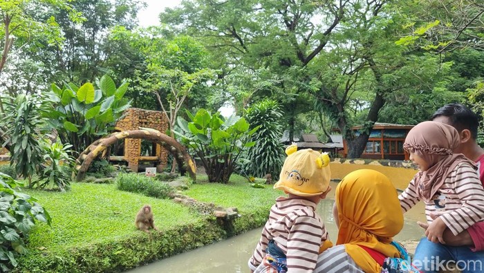 Pengunjung di Kebun Binatang Surabaya