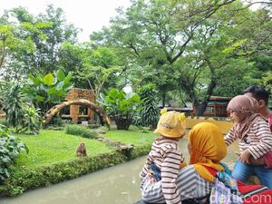 Fenomena Bediding Ubah Perilaku Satwa di Kebun Binatang Surabaya