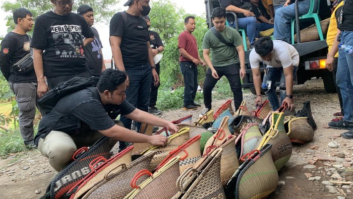 Piala Misterius di Bekasi: Apakah Kamuflase untuk Praktik Judi Sabung Ayam?