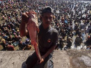 Serunya Festival Berebut Ikan di Klaten