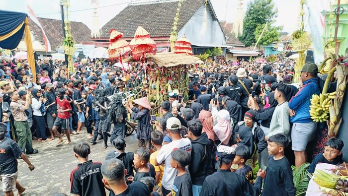 Tradisi Kebo-keboan Banyuwangi