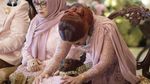 6 Momen Prosesi Langkahan, Tanda Ikhlas Zahwa Dilangkahi Aaliyah Massaid Nikah