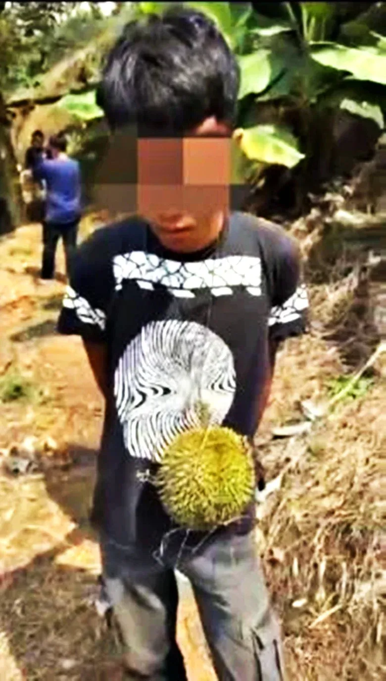 Anaknya Curi 3 Buah Durian, Ayah Ini Ganti Rugi Rp 34,6 Juta