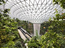 Lakukan Pencurian di Bandara Changi, 2 Turis India Ditangkap