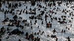 Pantai Mesir Tetap Ramai Wisatawan, meski Dikuasai Gelombang Panas