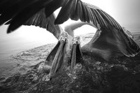 Jawara The 35 Photography Awards