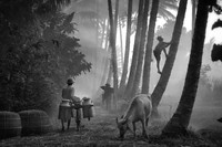 Jawara The 35 Photography Awards