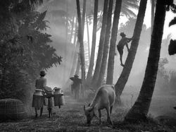 Jawara Kontes Foto Hitam Putih Memukau Mata, Ada dari Indonesia
