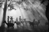 Jawara The 35 Photography Awards