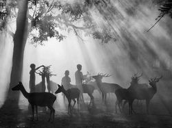 Jawara Kontes Foto Hitam Putih Memukau Mata, Ada dari Indonesia