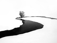Jawara The 35 Photography Awards