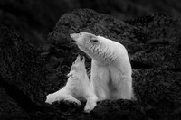 Jawara The 35 Photography Awards
