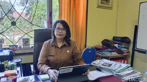 Kepala Dinas Koperasi, Tenaga Kerja dan Transmigrasi NTT, Sylvia Peku Djawang saat diwawancarai detikBali di kantornya, Senin (22/7/2024). (Yufengki Bria/detikBali).