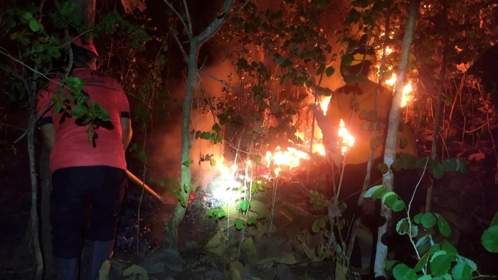 Kebakaran hutan di Gunung Jaas Trenggalek