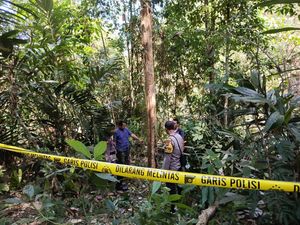 Jatuh dari Pohon Duku 12 Meter Saat Panen Merica, Petani di Kulon Progo Tewas