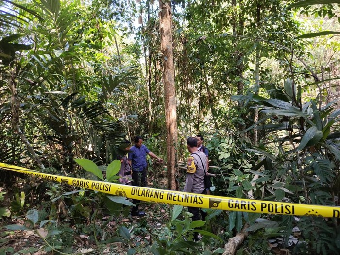 Polisi saat mengecek TKP petani tewas diduga terjatuh dari pohon di Dusun Tanggulangin, Kalurahan Sidomulyo, Kapanewon Pengasih, Senin (22/7/2024).