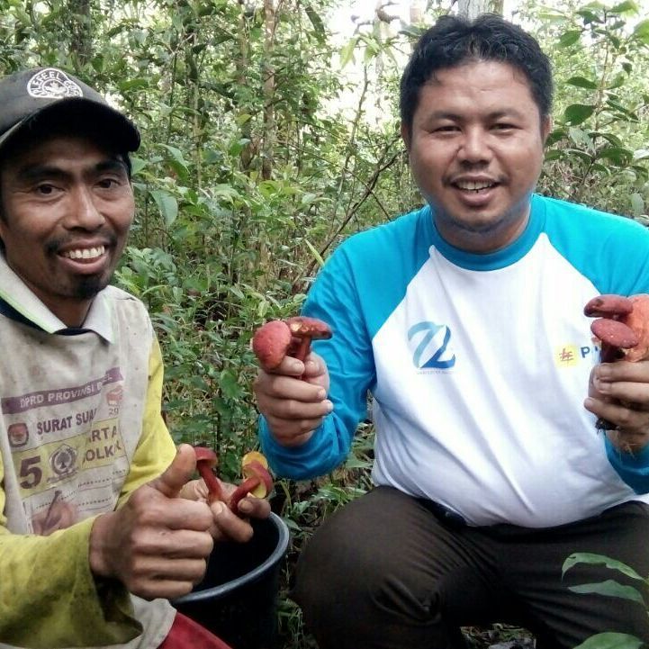 Madu Pelawan
