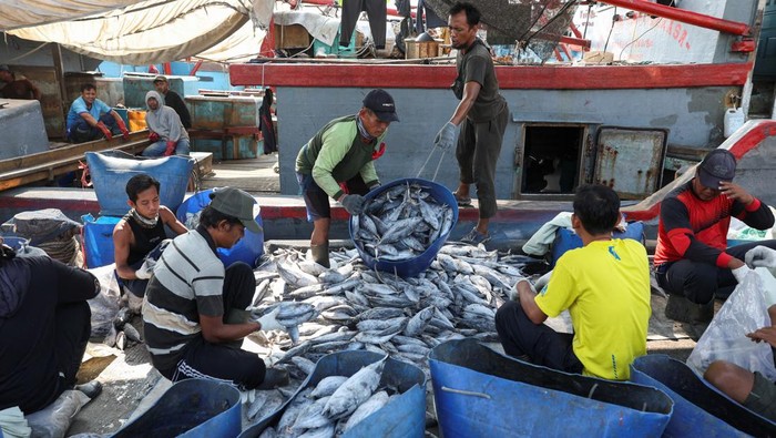 Sejumlah nelayan melakukan bongkat muat dan juga melakukan pembekuan ikan di gudang pendingin 1000 ton Muara Baru, Yuk intip aktivitas mereka.
