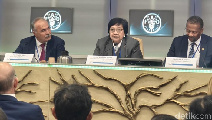 Menteri Lingkungan Hidup dan Kehutanan RI Siti Nurbaya Bakar. (Elvan Dany Sutrisno/detikcom)