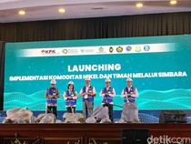 Luhut Sering Bilang OTT Kampungan, Wakil Ketua KPK Balas Begini