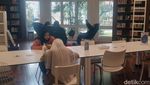 Perpustakaan Erasmus Huis Jadi Tujuan Cari Ilmu dan Konten