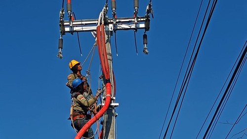 Pemeliharaan jaringan yang dilakukan PT PLN (Persero) Unit Induk Distribusi (UID) Bali pada Sabtu (20/7/2024).