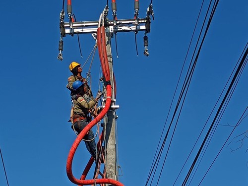 Pemeliharaan jaringan yang dilakukan PT PLN (Persero) Unit Induk Distribusi (UID) Bali pada Sabtu (20/7/2024).