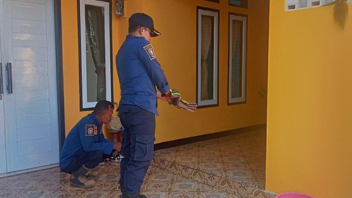 Proses evakuasi king cobra di Garut