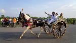 Serunya Lomba Balap Kereta Kuda Tradisional di India