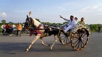 Perlombaan tradisional balap kereta kuda yang diadakan setiap hari Senin bulan kalender Hindu Saawan.