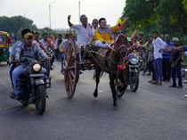 Serunya Lomba Balap Kereta Kuda Tradisional di India