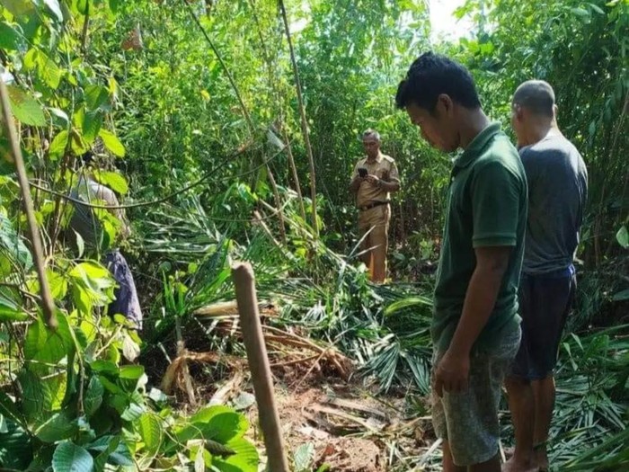 Jejak kaki gajah yang masuk ke perkebunan warga di Desa Srijaya Makmur, Muratara