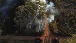 Kebakaran Landa Hutan Nasional Brasilia di Brasil