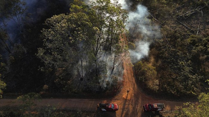 Kebakaran melanda Hutan Nasional Brasilia di Brasil. Kebakaran ini terjadi di tengah musim kemarau.