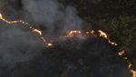 Kebakaran Landa Hutan Nasional Brasilia di Brasil